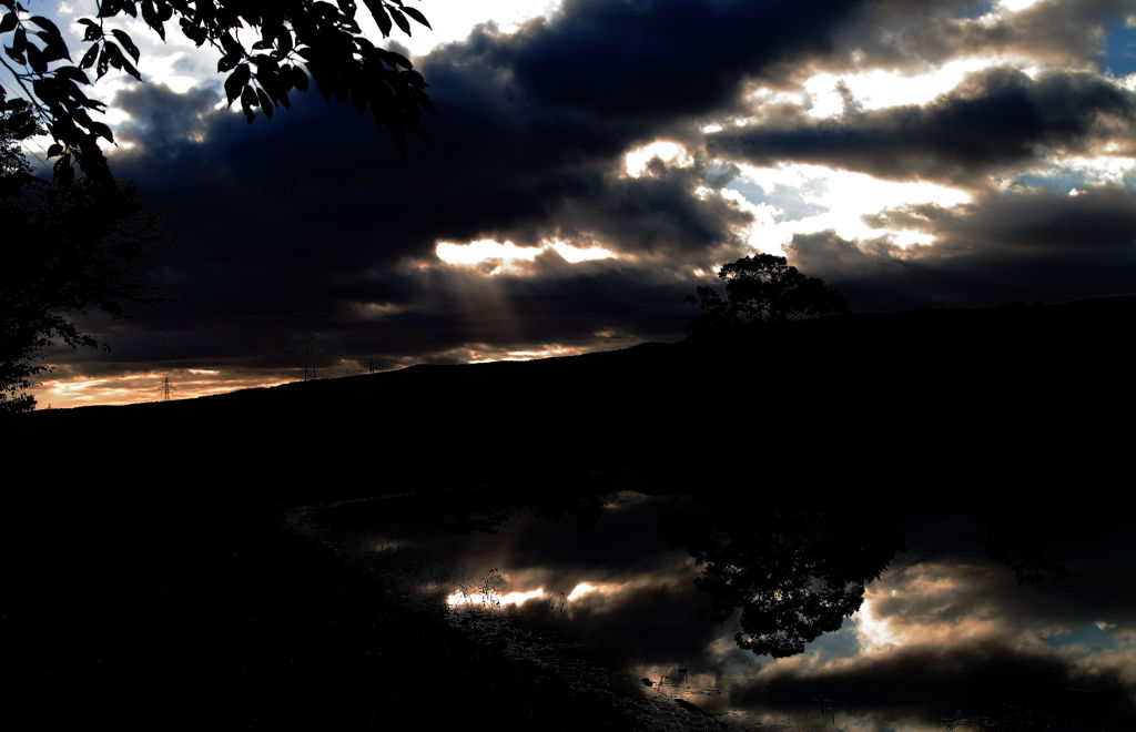 Ｄａｒｋ