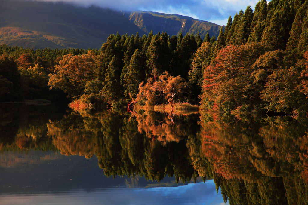 Autumn　Symmetry