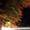 Light up Ver.2