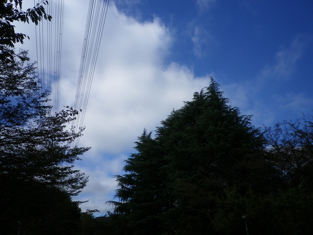 sky @ 大学祭