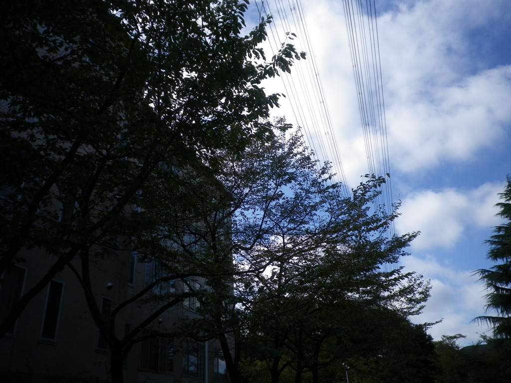 sky @ 大学祭 02