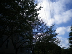 sky @ 大学祭 02