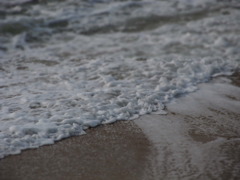 引潮