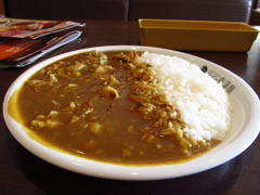 大好きなcoco壱カレー