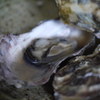 海からの贈り物