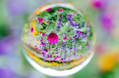 空玉　花