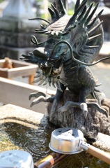 龍
