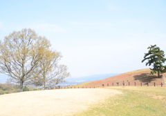 春の散歩