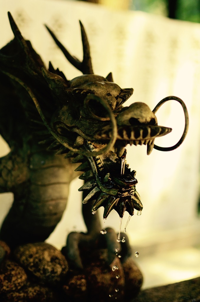 龍