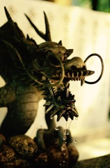 龍