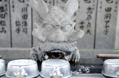 歓迎してくれてる？！
