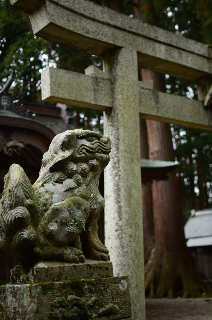 寺の番犬