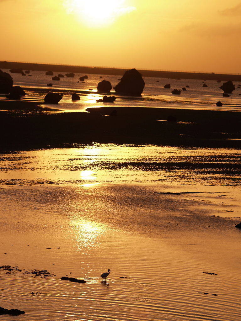 「夕日と鳥」　2011伊良部島
