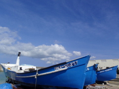 「サバニ」　2010 July