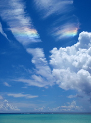 「彩雲」　2010　August