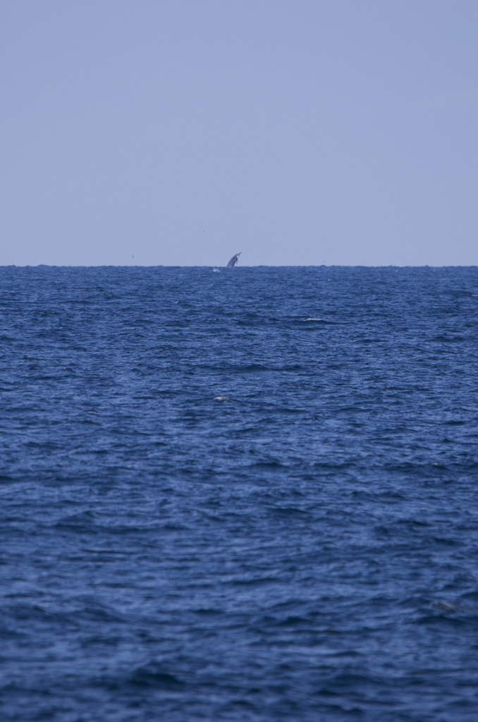 海から空へ