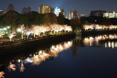 大阪城