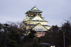 IMGP0353