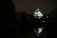 2011年　元旦　夜の大阪城！