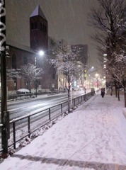 東京の雪。