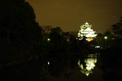 2011年　元旦　夜の大阪城！！
