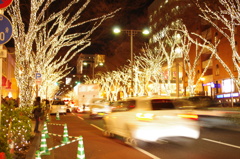 表参道　christmas ver