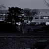 月を観るひと
