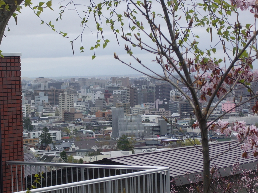 札幌のビルたち