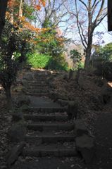 八幡野温泉郷 杜の湯 きらの里