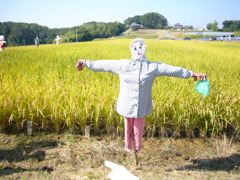 ここは通しやしまへんで！