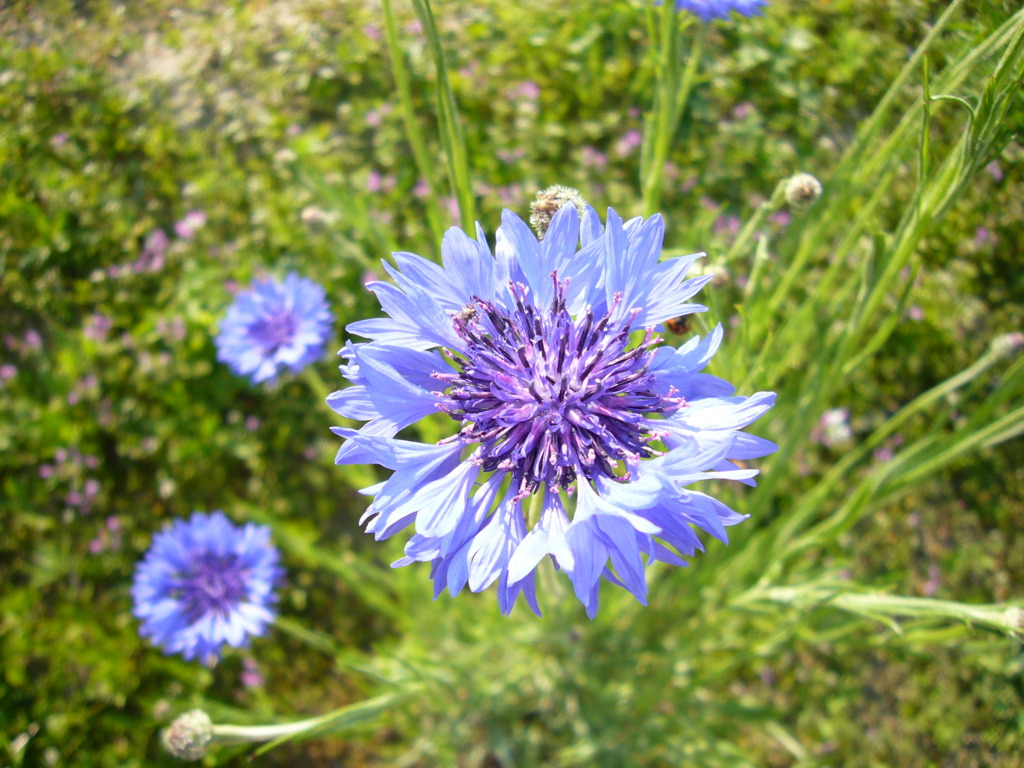 P1120271