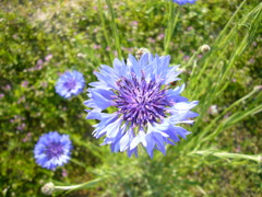 P1120271