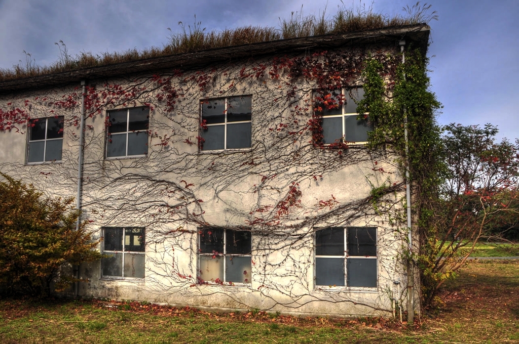old house