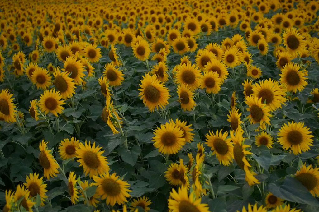 20140807014