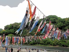 20130501007