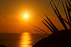 夕日