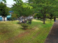 20130629074