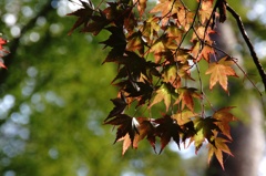 20111025047
