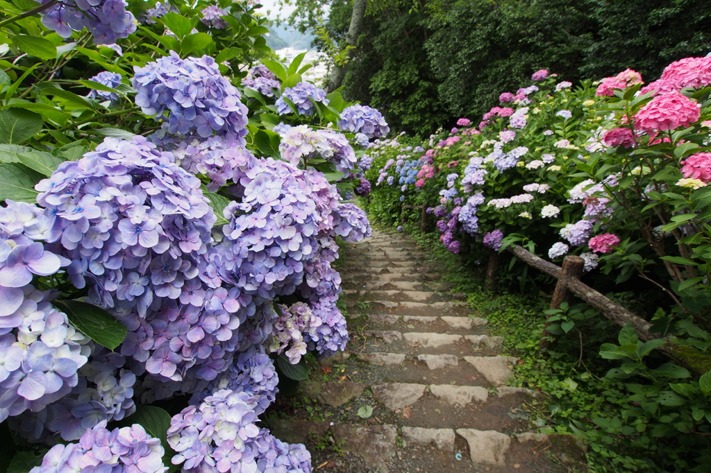 20150620184