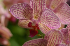 20120319004