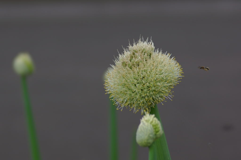 20120501020