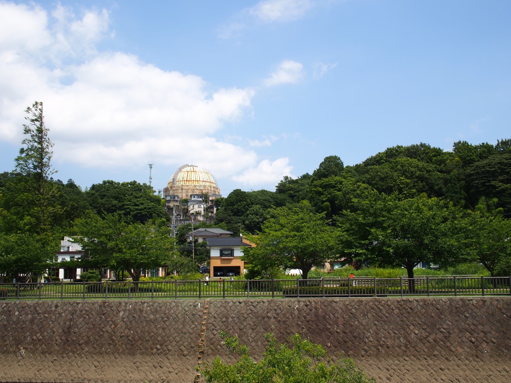 20130629059