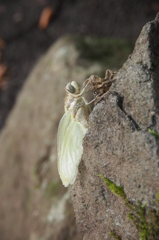 20120826020