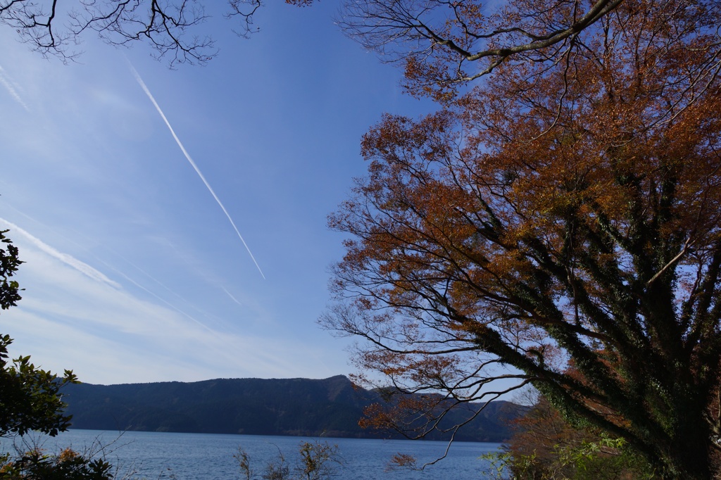 20131124064