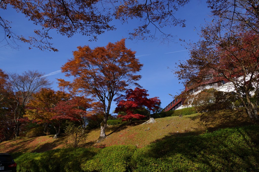 20131124069