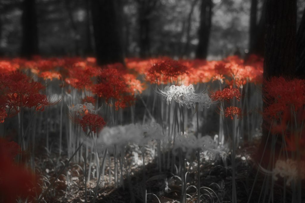 20140922069
