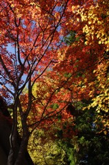 20111117069