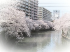 20130326008