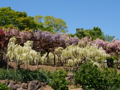 20130428098