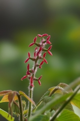 20120501036